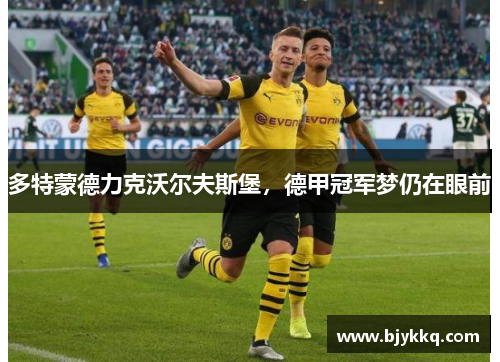 多特蒙德力克沃尔夫斯堡，德甲冠军梦仍在眼前