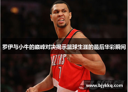 罗伊与小牛的巅峰对决揭示篮球生涯的最后华彩瞬间